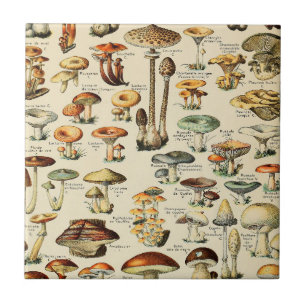 Mushroom Collection    Tile