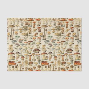 Mushroom Collection Tissue Paper