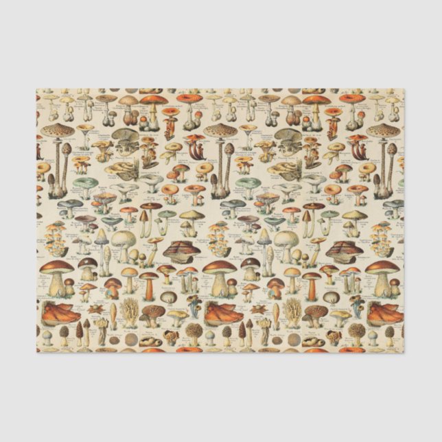 Mushroom Collection  Tissue Paper (Front)