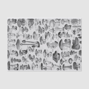 Mushroom Collection Tissue Paper