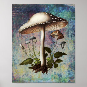 Mushroom, Digital Vintage Botanical Mushroom Poster