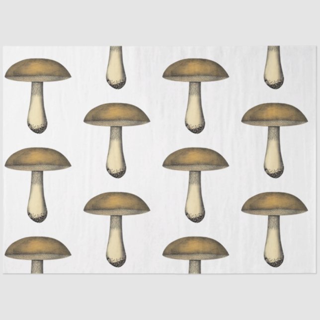 Mushroom Ephemera Design Series #33 Tissue Paper (Front)