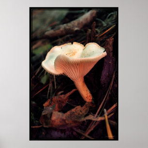 Mushroom Essence Poster -40x60 -other sizes also