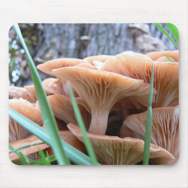 Mushroom Forest Card Mouse Pad (Front)