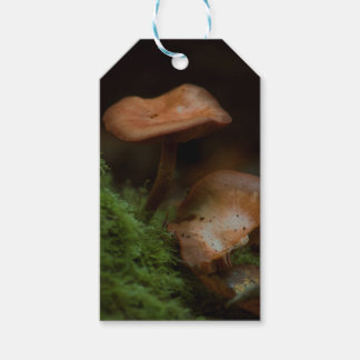 Mushroom gift tags