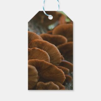 Mushroom gift tags