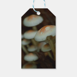 Mushroom gift tags