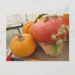 Mushroom Gourd Postcard