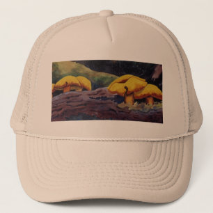 Mushroom group in the deep woods  Hat