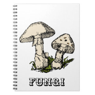 Mushroom illustration notebook