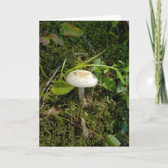 Mushroom in the forest card (Front)