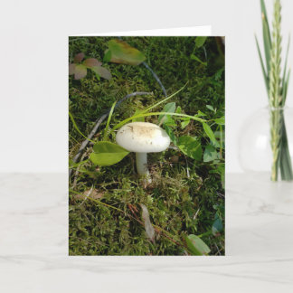 Mushroom in the forest card