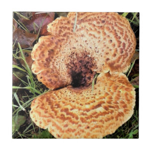 Mushroom in the Forest Tile
