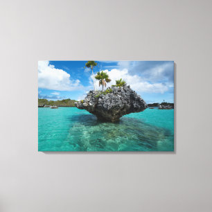 Mushroom Islets In Fiji Canvas Print
