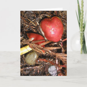 Mushroom Love Too Holiday Card