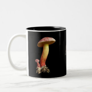 Mushroom lover's mug