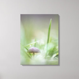 Mushroom Nature Photo Canvas Print
