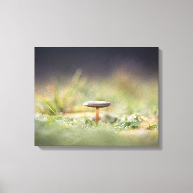 Mushroom Nature Photo Canvas Print (Front)