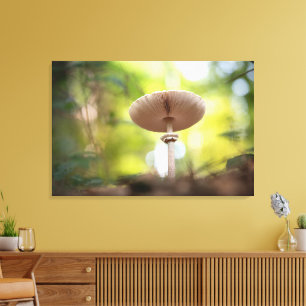 Mushroom Nature Photo Canvas Print