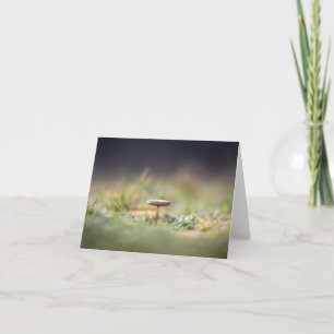 Mushroom Nature Photo Card