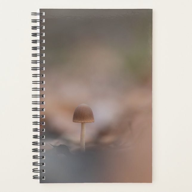 Mushroom Nature Photo Card Planner (Front)