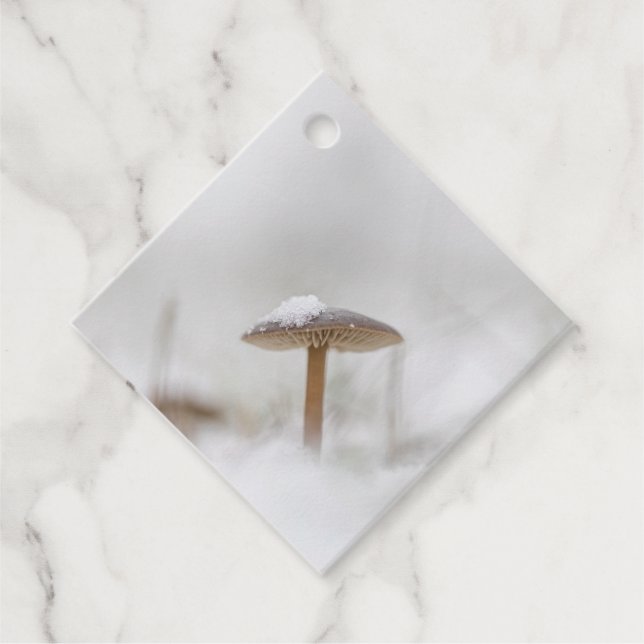 Mushroom Nature Photo Favour Tags (Front)