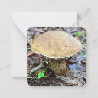 Mushroom Note Card