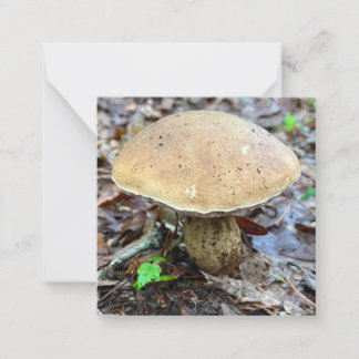 Mushroom Note Card