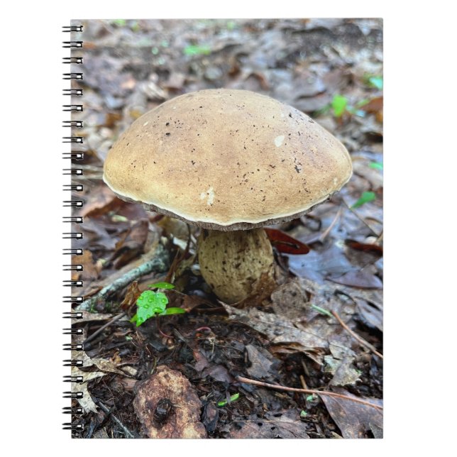 Mushroom Notebook (Front)