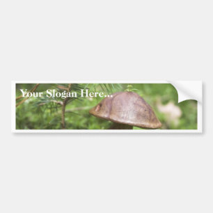 Mushroom On Moss Bumper Sticker