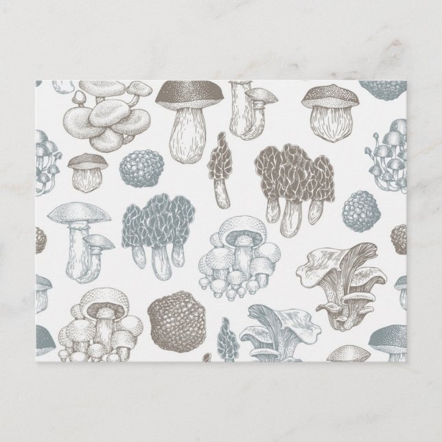 Mushroom pattern postcard (Front)
