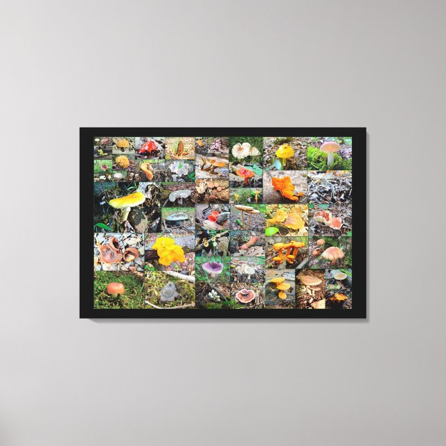 Mushroom Planet - Montgomery County PA Canvas Print (Front)