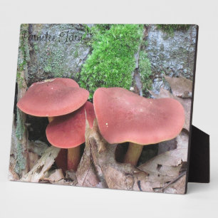 Mushroom Plaque