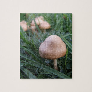 Mushroom Puzzle