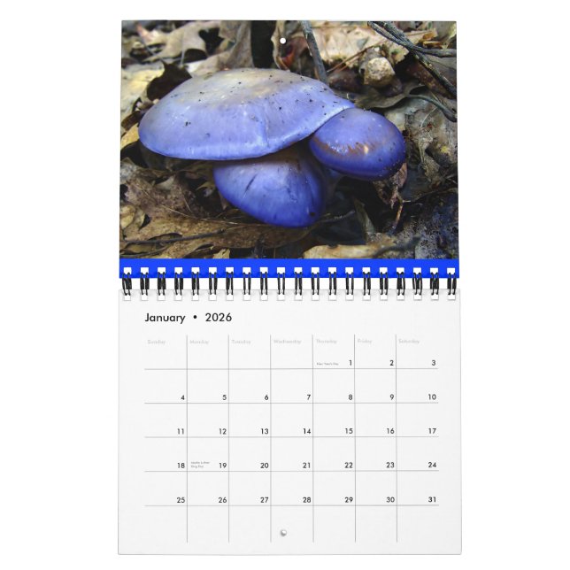 Mushroom Rainbow 2013 calendar (Jan 2026)