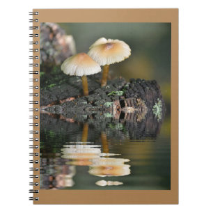 Mushroom Reflections Notebook