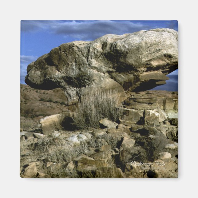 Mushroom Rock Colour Photo Magnet (Front)