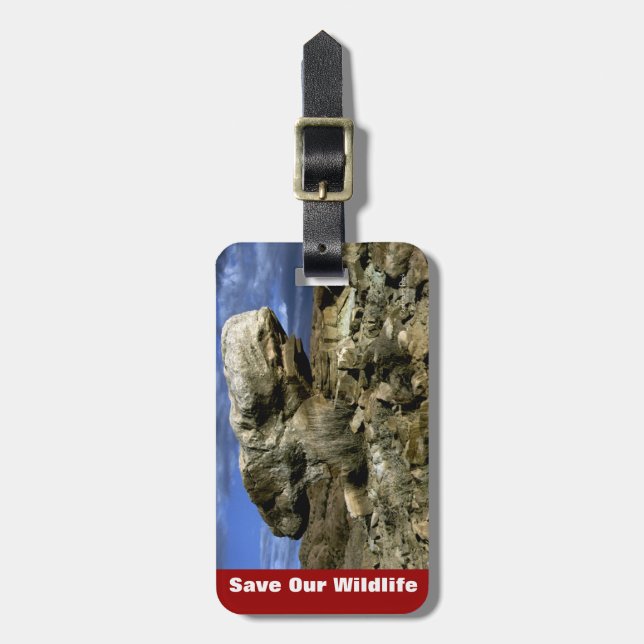 Mushroom Rock Luggage Tag (Front Vertical)