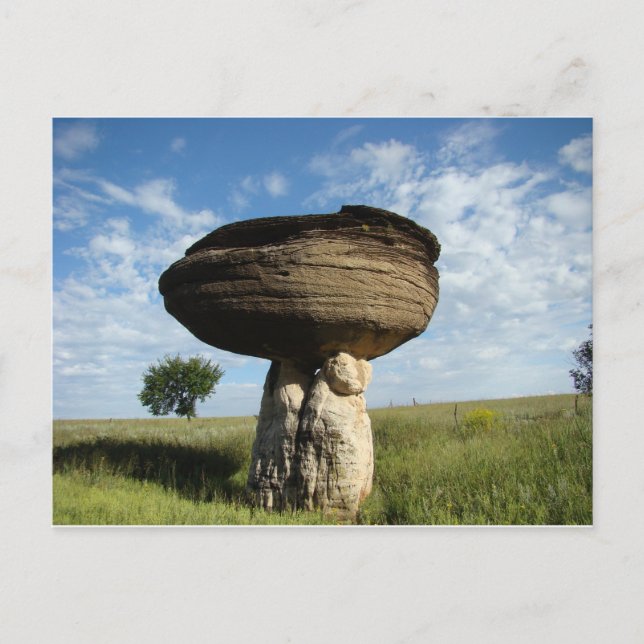 Mushroom Rock Postcard (Front)