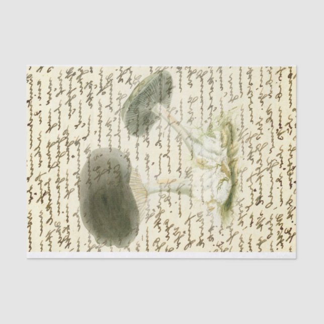 Mushroom sketch faded text distressed boho tissue paper (Front)