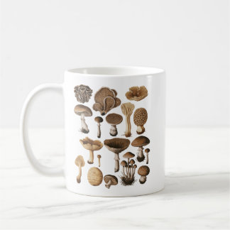 Mushroom Species Illustration Coffee Mug
