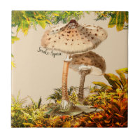 Mushroom Species Snake Agaric |