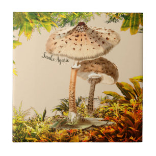 Mushroom Species Snake Agaric   Tile