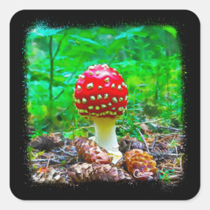 Mushroom Splatter - Envelope Stickers