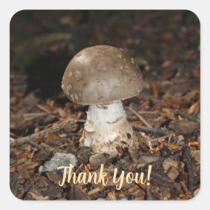 mushroom thank You Square Sticker