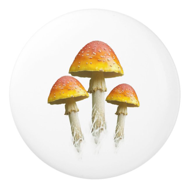 Mushroom trio ceramic pull (colour) (Front)