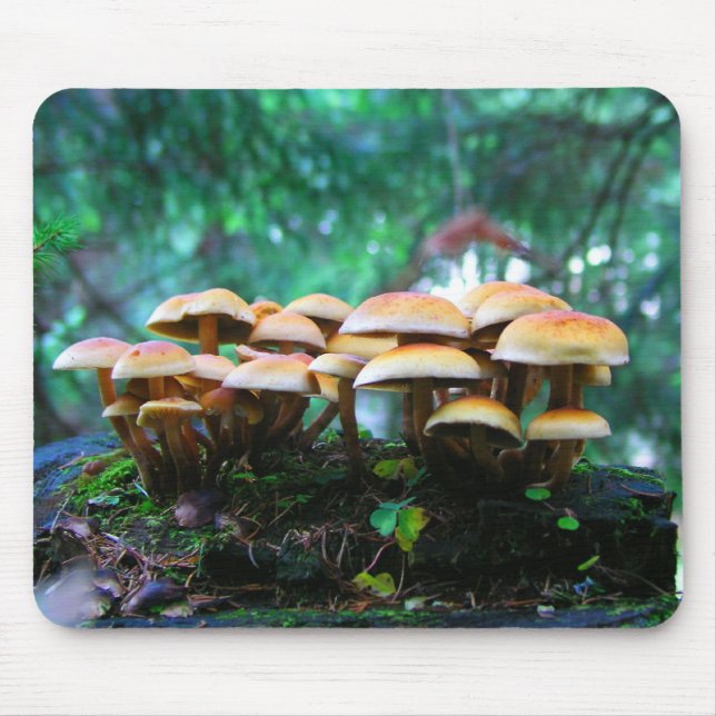mushroom village mouse pad (Front)