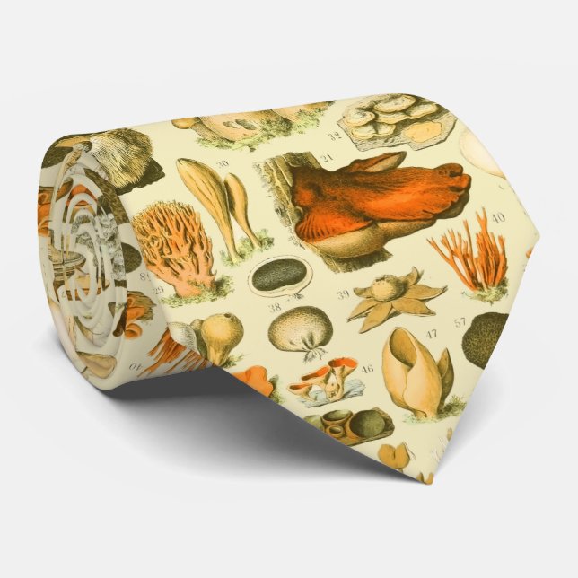 Mushroom Vintage Toadstool Antique Art Tie (Rolled)