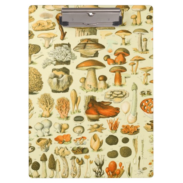 Mushroom Vintage Toadstool Antique Illustration Clipboard (Front)