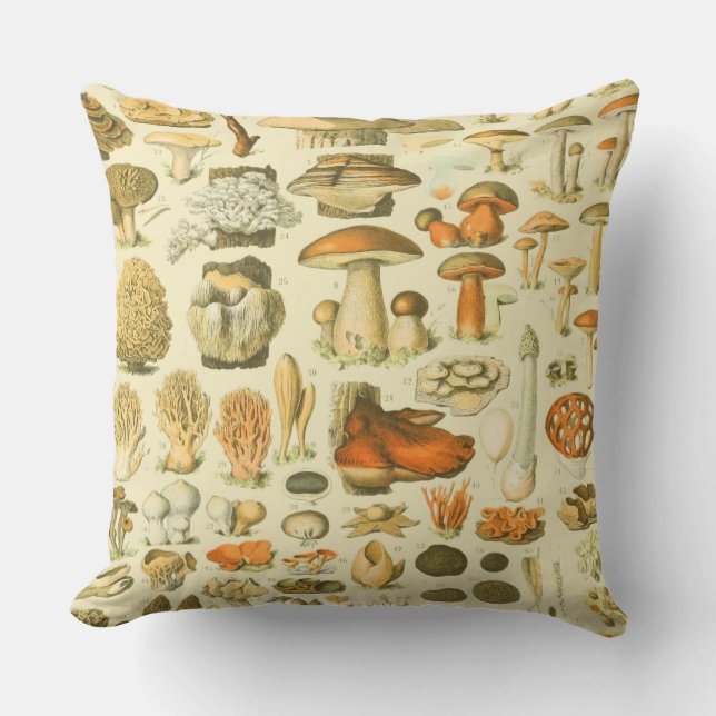 Mushroom Vintage Toadstool Antique Illustration Cushion (Front)